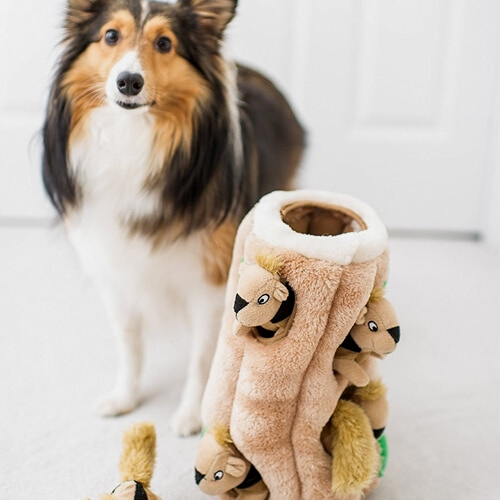 Outward Hound Hide-A-Squirrel Squeaky Puzzle Plush Toys for Dogs $5.10 (Reg. $29.99) – 53K+ FAB Ratings!