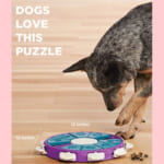 Outward Hound Nina Ottosson Interactive Puzzle Dog Toy (Level 3) $5.10 (Reg. $25) – Advanced Level, Easy to Clean