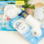 FREE Glade Plug-Ins Scented Oil Warmer At Publix