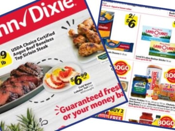 winn-dixie weekly ad