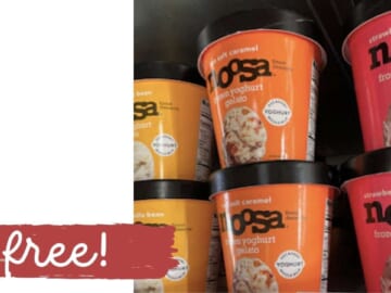 FREE Noosa Frozen Yoghurt Gelato with Stacking Deals!