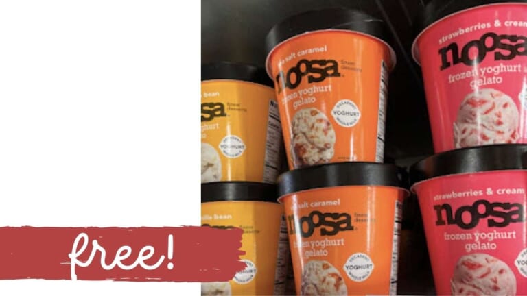 FREE Noosa Frozen Yoghurt Gelato with Stacking Deals!