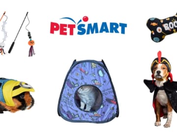 PetSmart | Buy 3, Get 1 Free Toys + 20% Off Code