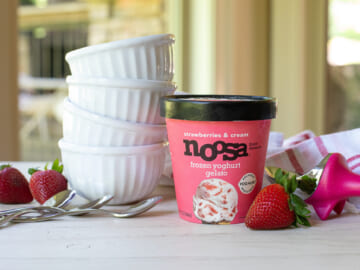 Noosa Frozen Yoghurt Gelato Just $3.50 At Publix