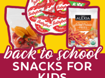 Easy, Healthy, and Delicious Back to School Snack Ideas & Recipes