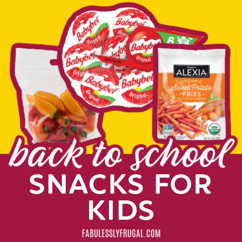 Easy, Healthy, and Delicious Back to School Snack Ideas & Recipes