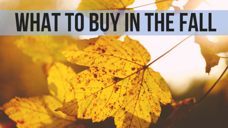 What To Buy In The Fall: Live Q&A at 8:30 pm