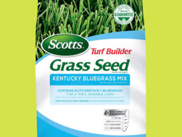 Scotts Turf Builder Grass Seed Kentucky Bluegrass Mix, 7 Lb as low as $23.96 After Coupon (Reg. $34.69) + Free Shipping – Seeds up to 4,660 sq. ft.