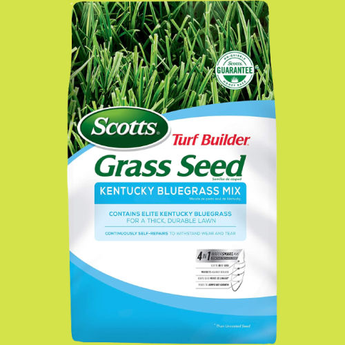 Scotts Turf Builder Grass Seed Kentucky Bluegrass Mix, 7 Lb as low as $23.96 After Coupon (Reg. $34.69) + Free Shipping – Seeds up to 4,660 sq. ft.