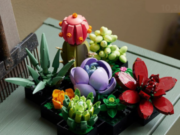 771-Piece LEGO Succulents Plant Decor Building Set $44.99 Shipped Free (Reg. $50) – LOWEST PRICE!