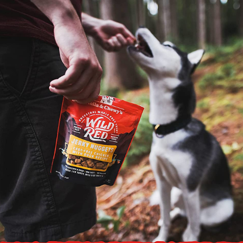 Save 35% on Wild Red Stella & Chewy’s Dog Food as low as $7.19 After Coupon (Reg. $11.99) + Free Shipping