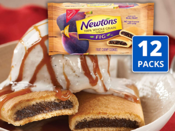 12-Pack Newtons 100% Whole Grain Wheat Soft & Fruit Chewy Fig Cookies as low as $27.93 After Coupon (Reg. $42.96) + Free Shipping – $2.33/10oz pouch!