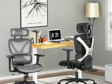 Today Only! Save BIG on Office Chairs from $215.60 Shipped Free (Reg. $269.50)