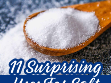 11 Surprising Uses For Salt