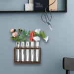 Wall Hanging Glass Planter with 5 Modern Test Tubes $10.99 After Coupon (Reg. $20.88) – FAB Ratings!