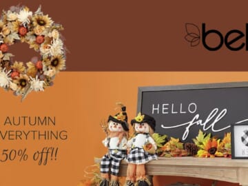 Belk Doorbusters | Fall Home Décor