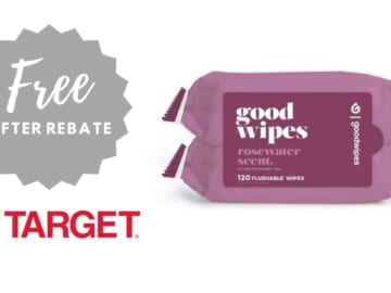 Free Twin Pack of Goodwipes After Rebate