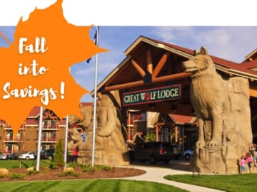 Fall Savings Up to 50% Off Great Wolf Lodge