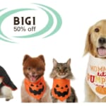 Chewy | B1G1 50% off Costumes, Toys & Treats