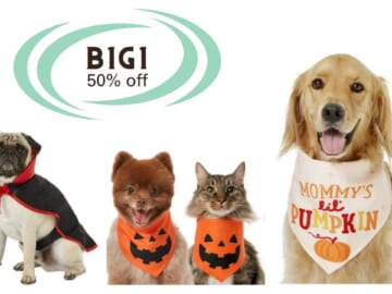 Chewy | B1G1 50% off Costumes, Toys & Treats