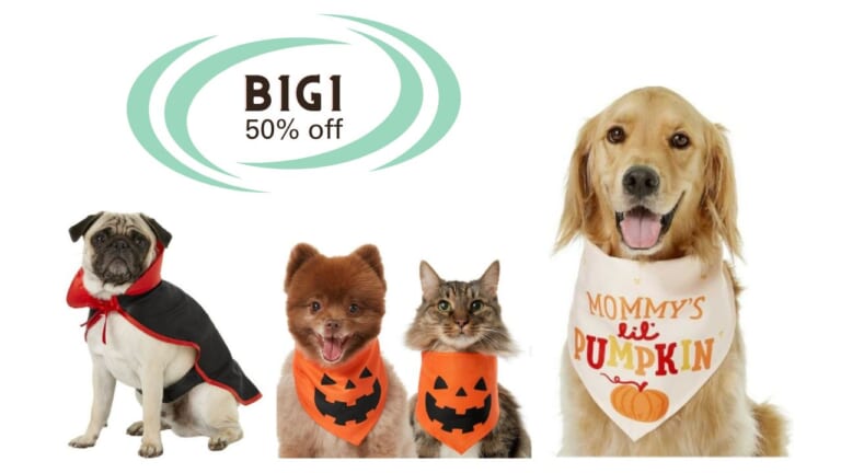 Chewy | B1G1 50% off Costumes, Toys & Treats