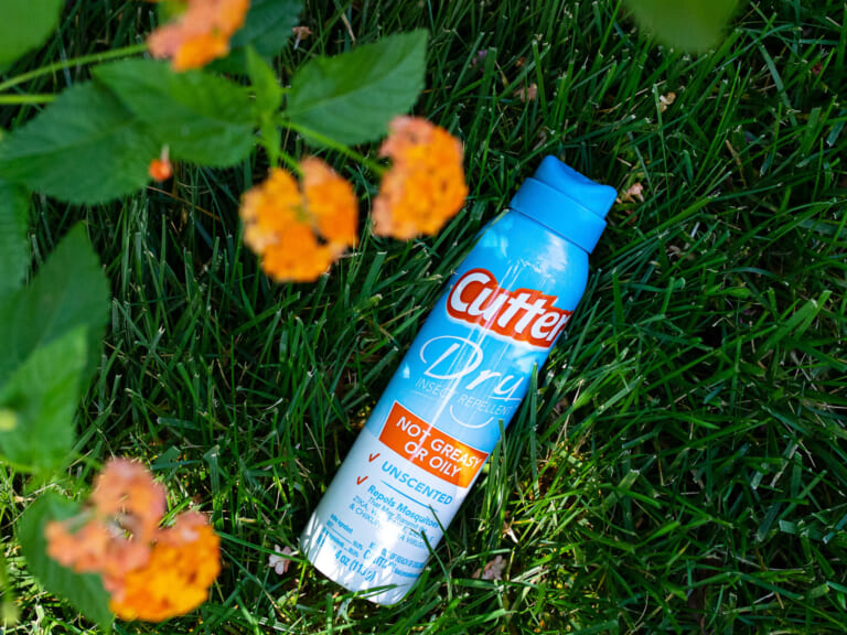 Cutter Insect Repellent As Low As $2.99 At Publix