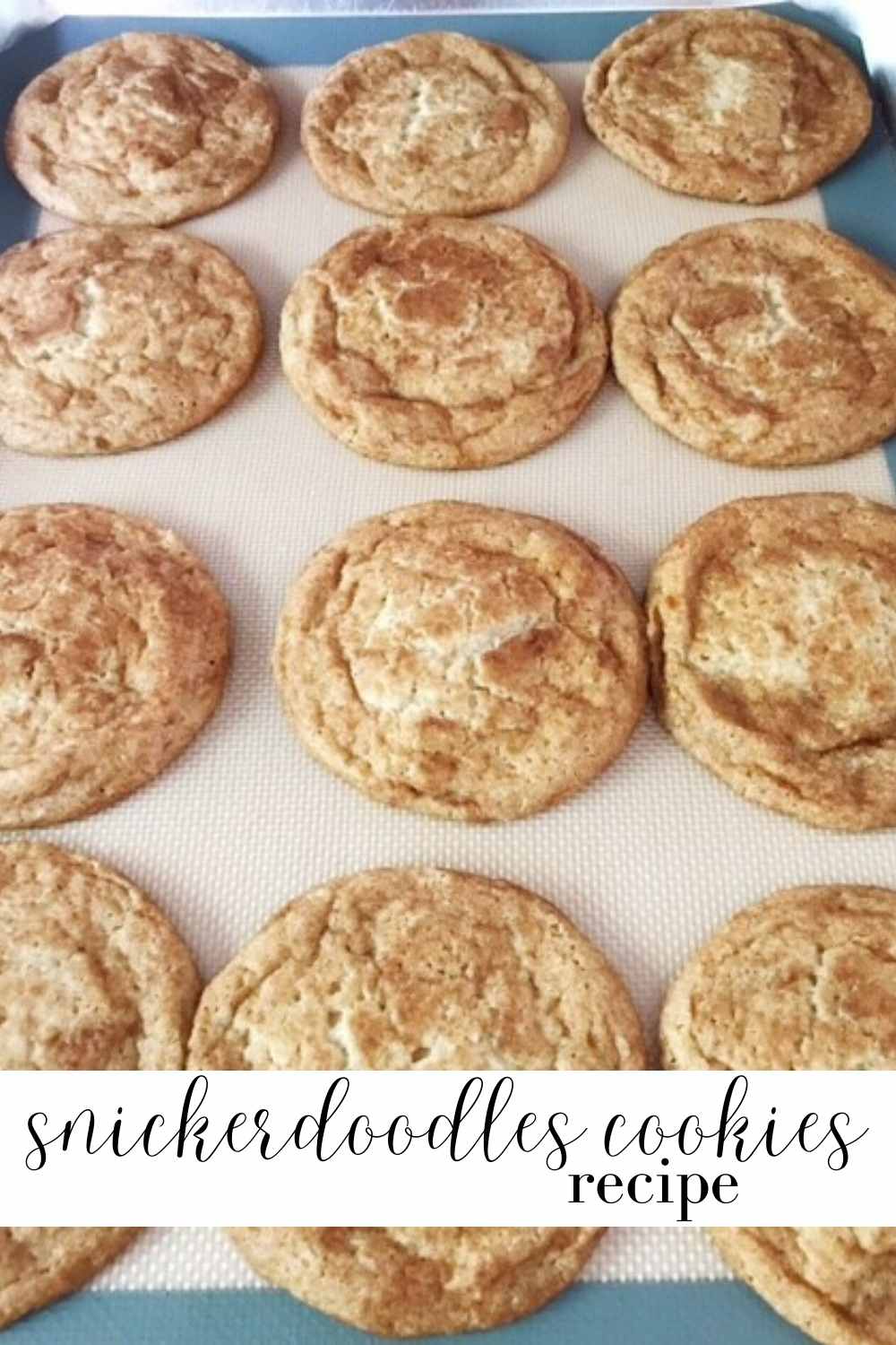 snickerdoodles cookies recipe pinterest