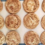 snickerdoodles cookies