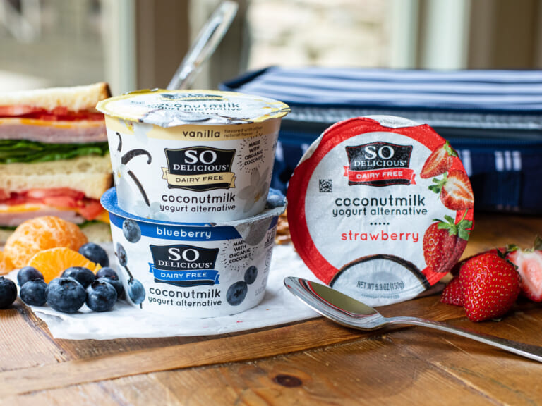 So Delicious Coconut Milk Yogurt Alternative FREE At Publix