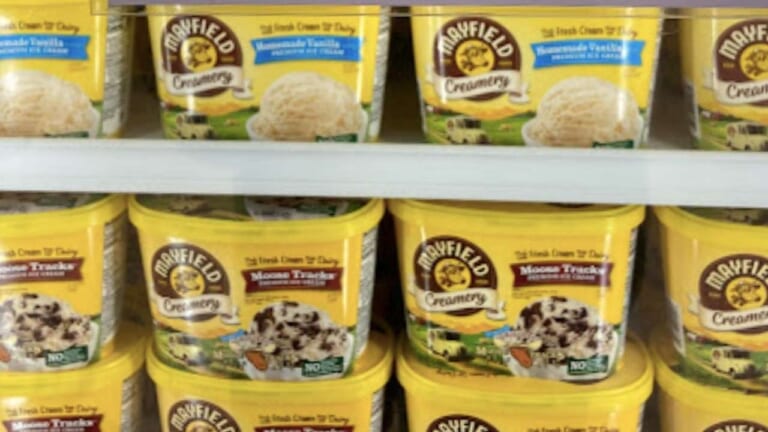 Mayfield Coupon | Get Ice Cream for $2.14 at Publix Starting Wednesday