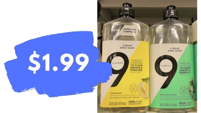 9 Elements Foaming Dish Spray for $1.99 | Target Circle Deal