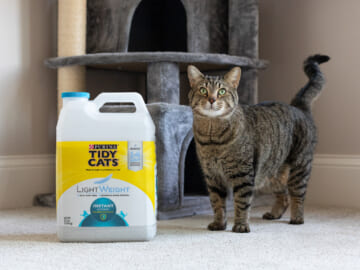 Purina Tidy Cats Clumping Litter Just $5.20 At Publix (Regular Price $15.39)