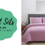 3-Piece Quilt Sets for $19.99 + Extra 10% off