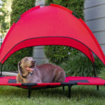 Outdoor Raised Cooling Pet Dog Bed with Canopy only $38.99 shipped (Reg. $80!)