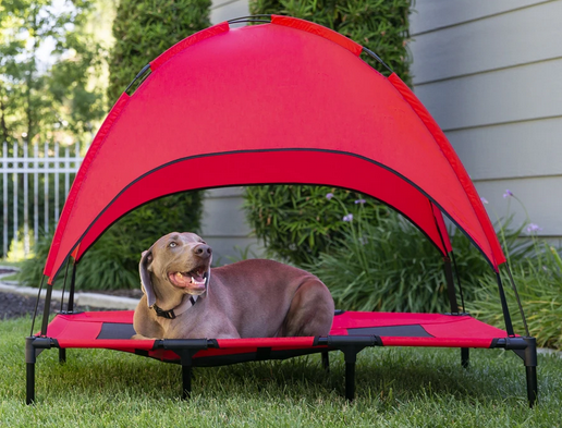 Outdoor Raised Cooling Pet Dog Bed with Canopy only $38.99 shipped (Reg. $80!)