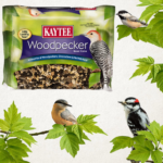 FOUR 1.85 Pounds Kaytee Woodpecker Seed Cake Food $3.20 EACH Shipped Free (Reg. $8.39) – 2K+ FAB Ratings! LOWEST PRICE + Buy 4, Save 5%