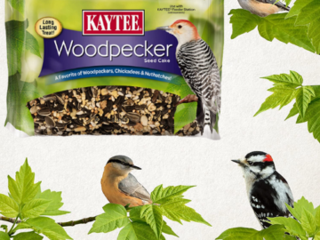 FOUR 1.85 Pounds Kaytee Woodpecker Seed Cake Food $3.20 EACH Shipped Free (Reg. $8.39) – 2K+ FAB Ratings! LOWEST PRICE + Buy 4, Save 5%