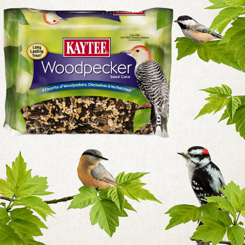 FOUR 1.85 Pounds Kaytee Woodpecker Seed Cake Food $3.20 EACH Shipped Free (Reg. $8.39) – 2K+ FAB Ratings! LOWEST PRICE + Buy 4, Save 5%