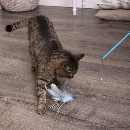 Frisky Flyer Feather Wand Cat Toy $1.89 After Coupon (Reg. $6.37) – FAB Ratings!