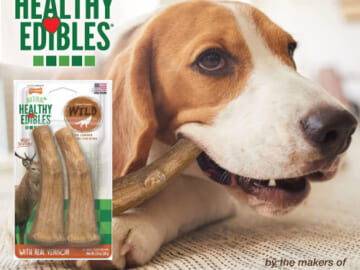 Amazon Prime Day: FOUR 2-Count Packs Nylabone Healthy Edibles Antler Wild Dog Treats (Medium/Wolf) as low as $1.99 EACH After Coupon (Reg. $6) + Shipped Free – $1/Treat