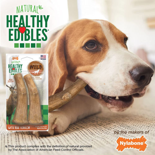 Amazon Prime Day: FOUR 2-Count Packs Nylabone Healthy Edibles Antler Wild Dog Treats (Medium/Wolf) as low as $1.99 EACH After Coupon (Reg. $6) + Shipped Free – $1/Treat