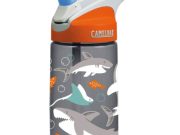 Amazon Prime Day: CamelBak Kids’ BPA-Free Water Bottle, 12 Oz $8.43 Shipped Free (Reg. $15) – Gift Idea for Kids!