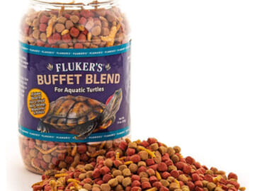 Amazon Prime Day: FOUR 7.5 Oz Jars Fluker’s Buffet Blend Aquatic Turtle Food as low as $0.88 EACH Shipped Free (Reg. $9) + Buy 4, save 5%