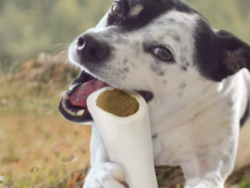 Amazon Prime Day: FOUR Cadet Regular Stuffed Shin Peanut Butter Bone for Dogs (Large) as low as $1.67 EACH Shipped Free (Reg. $5.39) + Buy 4, Save 5%