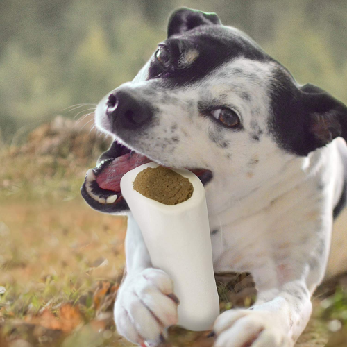 Amazon Prime Day: FOUR Cadet Regular Stuffed Shin Peanut Butter Bone for Dogs (Large) as low as $1.67 EACH Shipped Free (Reg. $5.39) + Buy 4, Save 5%