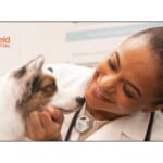 FREE Pet Exam and Consultation at Banfield