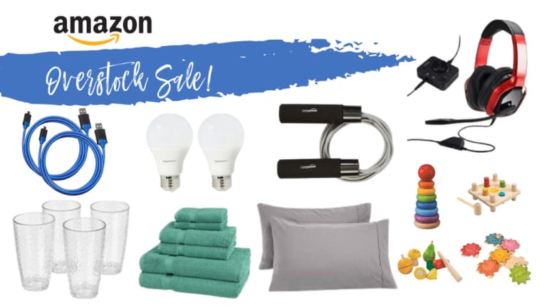 Amazon Basics Overstock Sale Up to 80% off