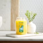 Yankee Candle Single-Wick Large Jar Candle, Sicilian Lemon as low as $12.95 Shipped Free (Reg. $18.88) – 16K+ FAB Ratings!