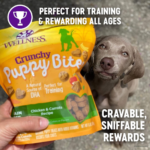 FOUR Bags of Wellness Puppy Bites Chicken & Carrots Dog Treats, 6 Oz as low as $3.82 EACH Bag Shipped Free (Reg. $5) – 49K+ FAB Ratings! + Buy 4, Save 5%