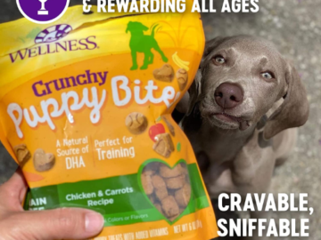 FOUR Bags of Wellness Puppy Bites Chicken & Carrots Dog Treats, 6 Oz as low as $3.82 EACH Bag Shipped Free (Reg. $5) – 49K+ FAB Ratings! + Buy 4, Save 5%